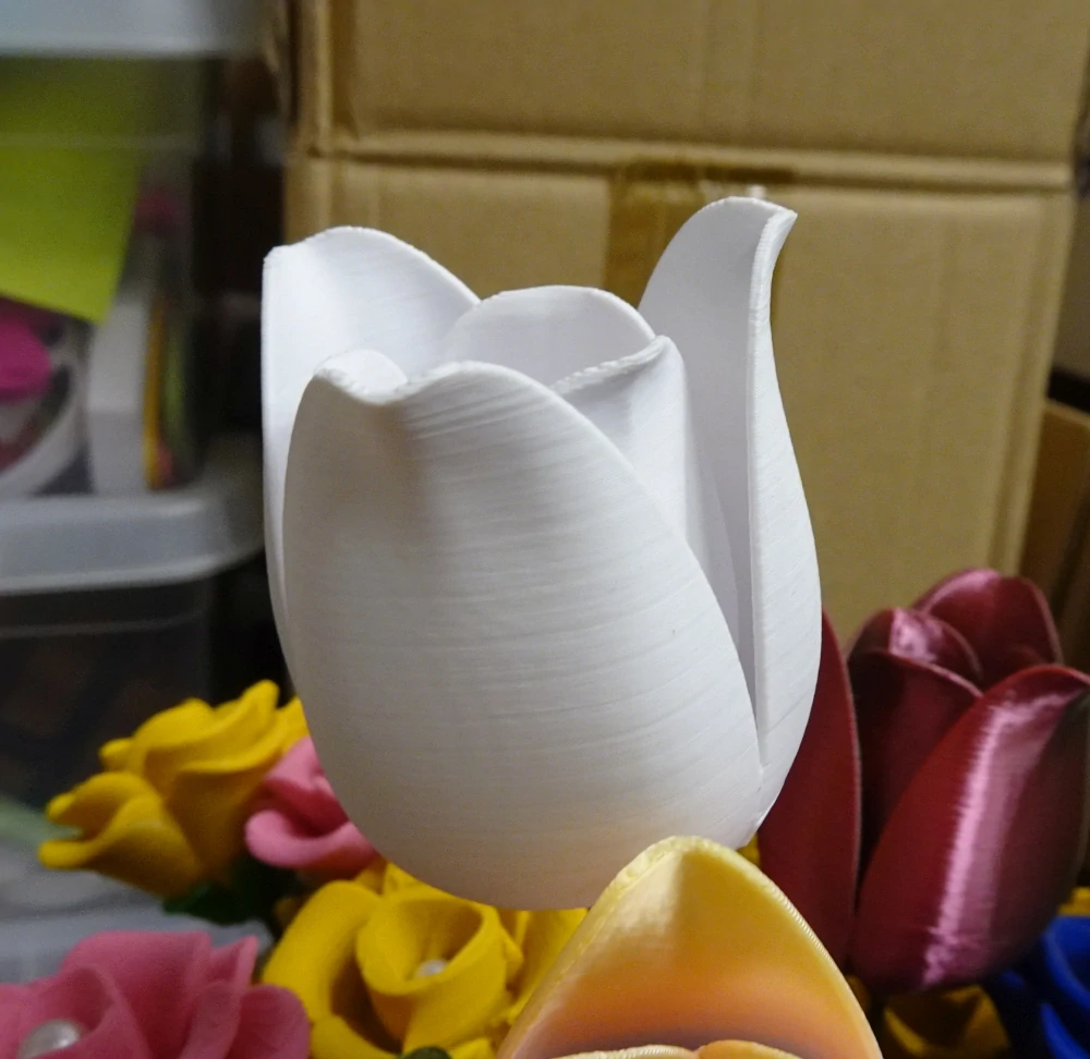 3D tulipán